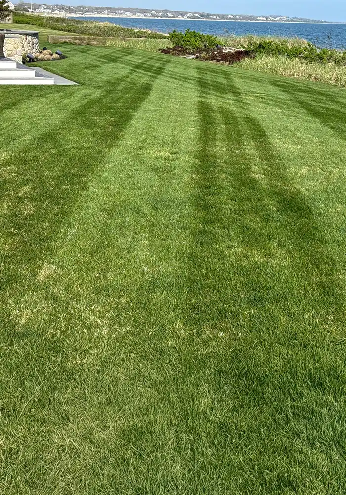 social-proof-dony-05